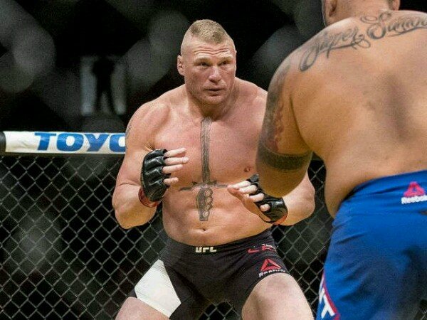 Berita Tinju: Brock Lesnar Teridentifikasi Menggunakan Doping