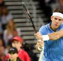 Berita Tenis: Juan Martin Del Potro Incar Kesuksesan di Musim 2017