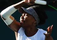 Berita Tenis: Venus Williams Pupuskan Harapan Jelena Jankovic Di Indian Wells