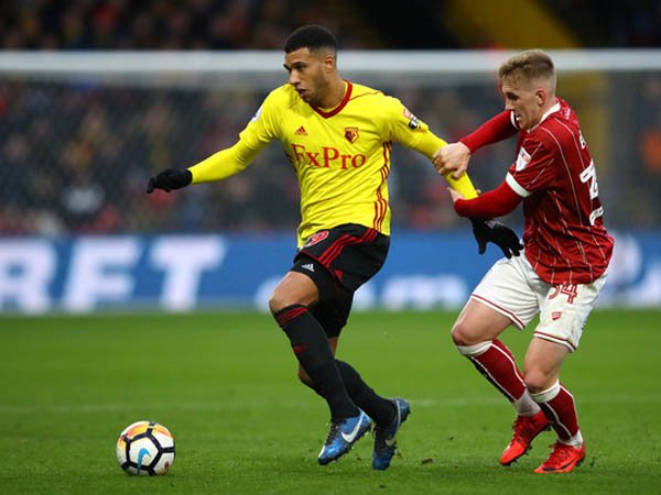 Etienne Capoue Resmi Perpanjang Kontrak di Watford Hingga 2022