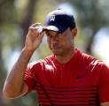 Tiger Woods Masuk 100 Besar Pegolf Terbaik Dunia