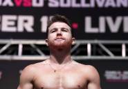 Canelo Dianggap Bugar untuk Bertarung Desember