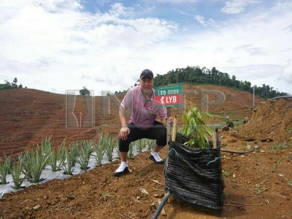 Transformasi Li Yongbo, Raja Bulutangkis Menuju Bisnis Durian