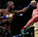 Wilder: Fury Belum Pantas Disebut Juara Dunia