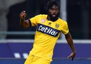 Gervinho Mengaku Dirinya Masih Bahagia Bersama Parma