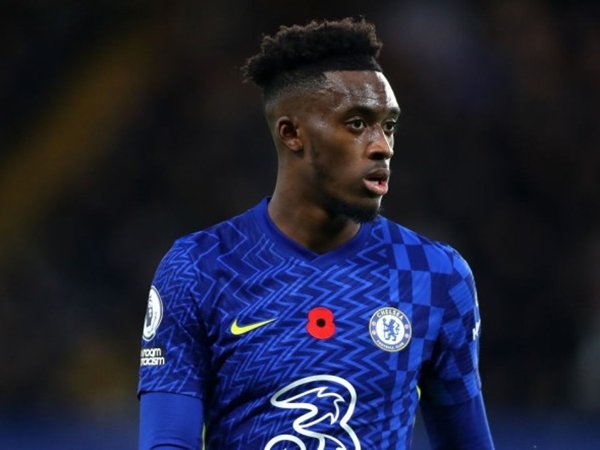 Callum Hudson-Odoi (Sumber: Getty)