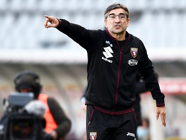 Manajer Torino, Ivan Juric.