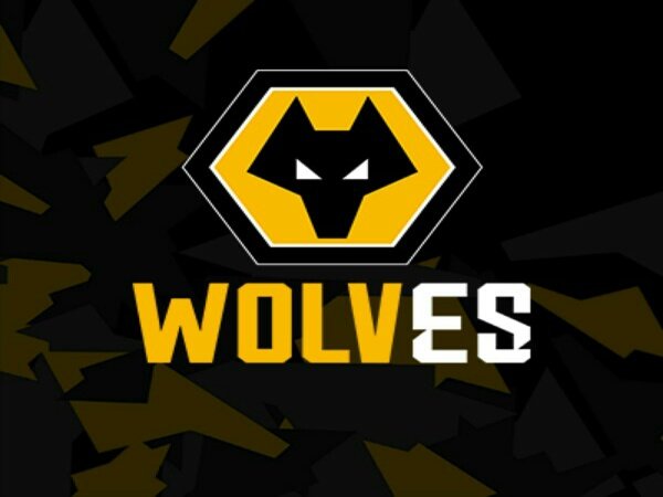 Tim Rocket League Wolves Esports Resmi Mendatangkan Hyderr