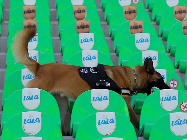 Girona Lakukan Studi Kelayakan untuk Hadirkan Anjing di Stadion