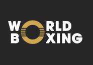 27 Negara Penuhi Syarat Ikut Serta Kongres Perdana World Boxing 2023