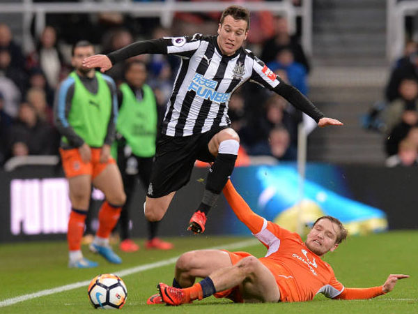 Fakta-Fakta Menarik Jelang Laga Luton Town vs Newcastle United