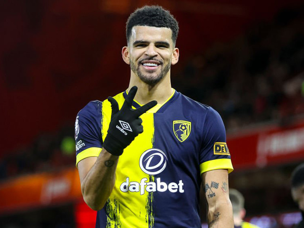 Dominic Solanke.