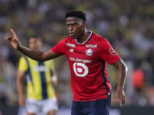 Striker Lille, Jonathan David