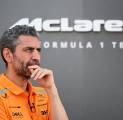 Andrea Stella Curiga Dengan Perlakuan RB Pada Ricciardo