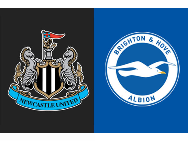 Kabar Terbaru Berita Tim Jelang Newcastle United vs Brighton & Hove Albion