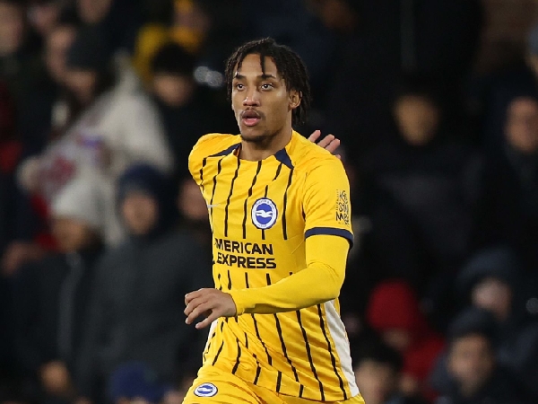 Arsenal dan Liverpool Bersaing Dapatkan Striker Brighton, Joao Pedro