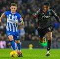 Fakta Menarik Jelang Brighton vs Crystal Palace di Premier League