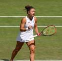 Jasmine Paolini Bagikan Hal Yang Ia Katakan Pada Diri Sendiri Di Wimbledon