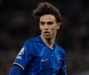 Joao Felix dan Romeo Lavia Siap Tampil di Laga Everton vs Chelsea