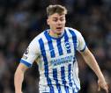 Leicester City Berminat Pinang Evan Ferguson dari Brighton pada Januari