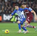 Fakta Menarik Jelang Duel West Ham United vs Brighton di Premier League