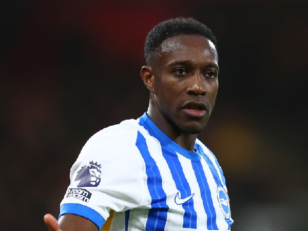 Striker Brighton, Danny Welbeck