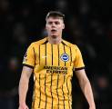 Evan Ferguson Belum Pulih, Brighton Krisis Penyerang Jelang Laga Piala FA